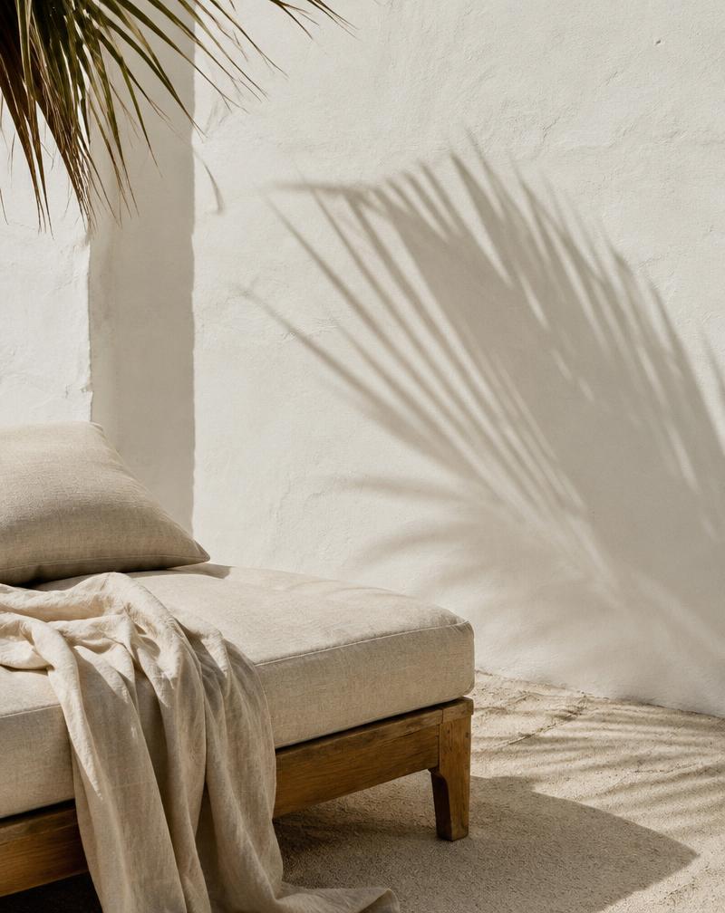 ombre de palme sur un mur blanc au soleil